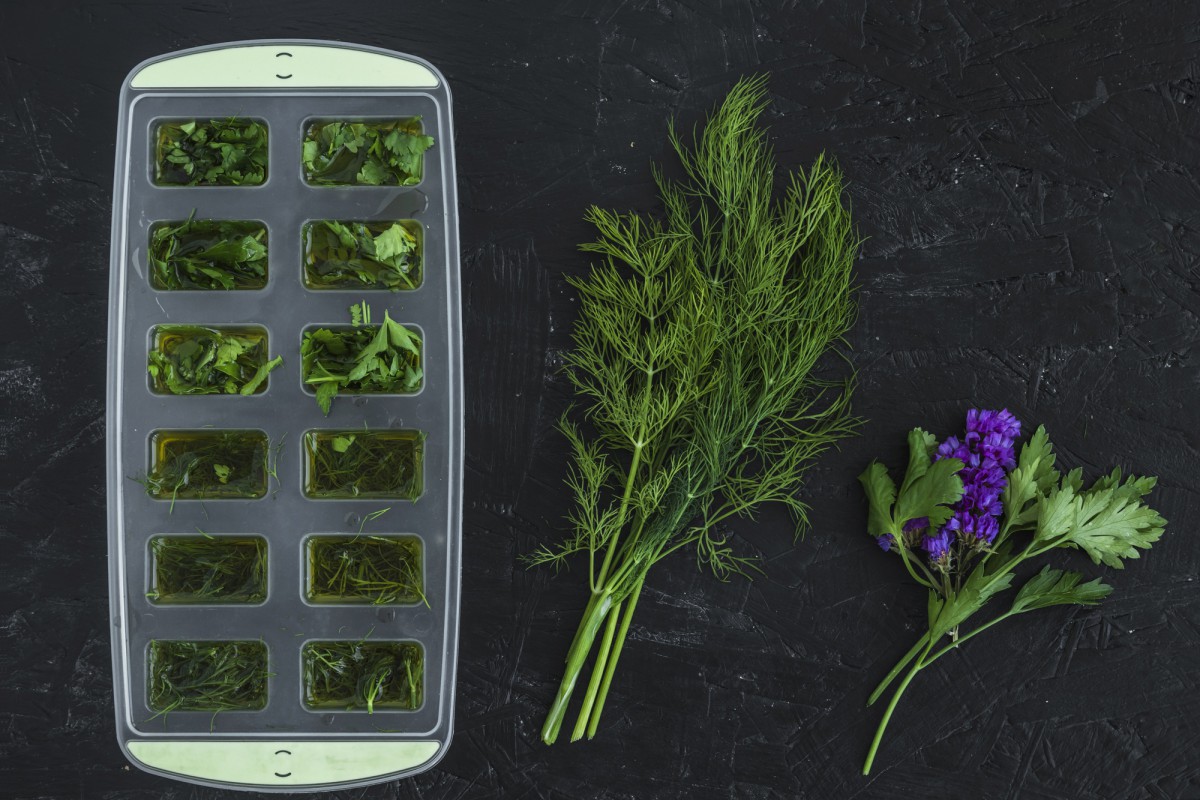 Как правильно хранить зелень: секреты долгого хранения