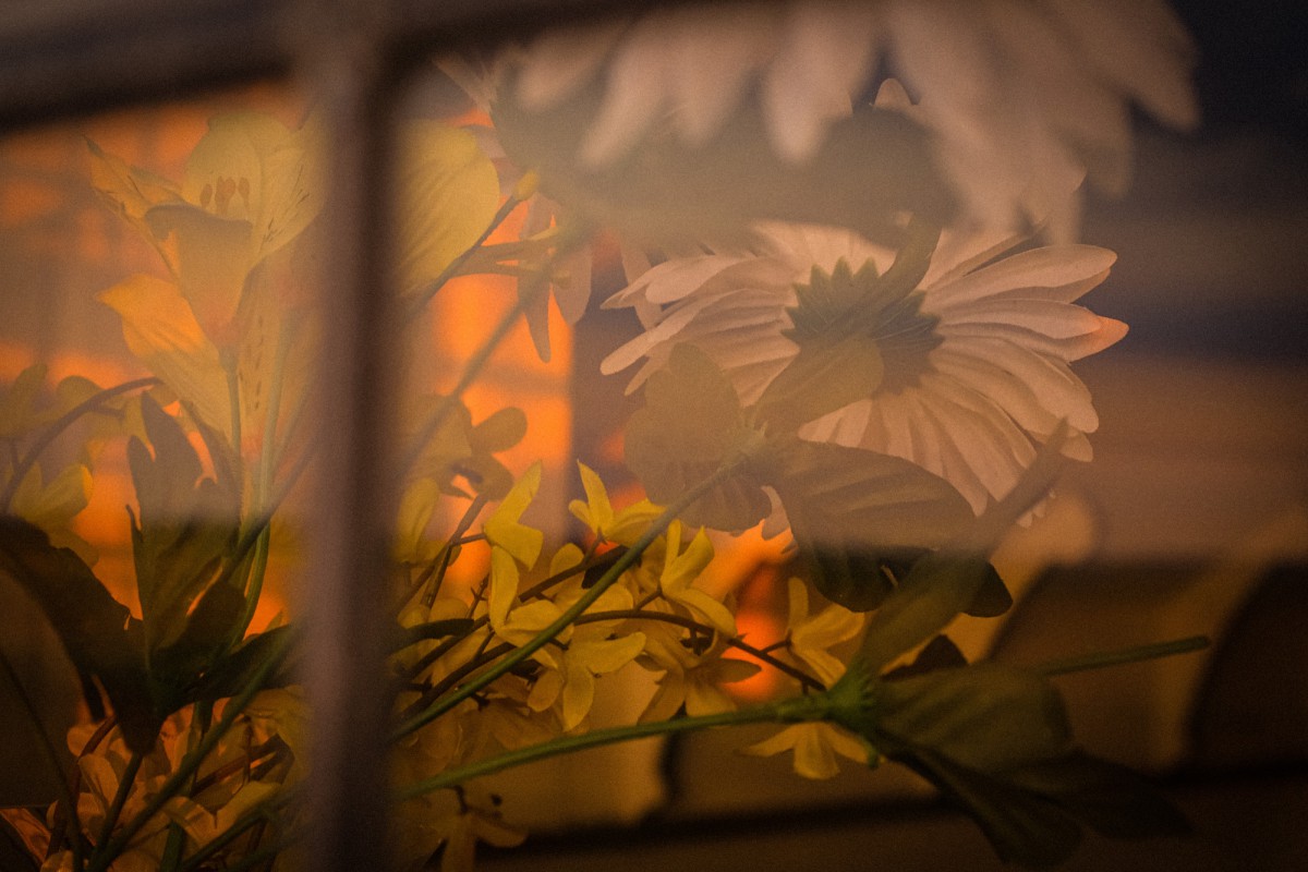 Как француженки создают уют: 3 секрета интерьера