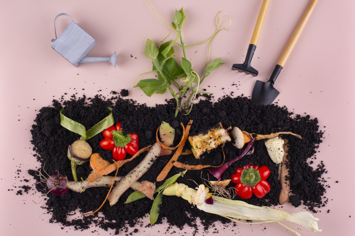 Как избавиться от кротов на участке: эффективный метод