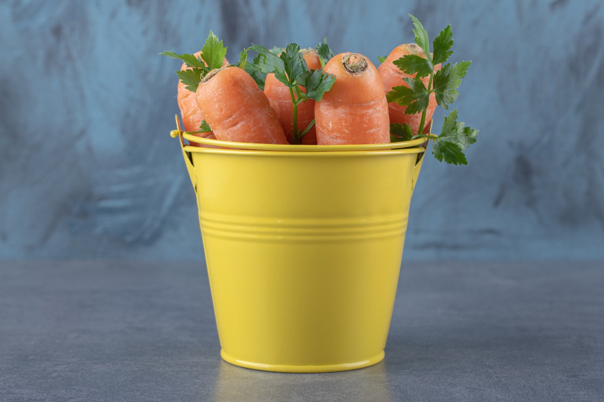 Почему не стоит слушать советы из интернета и затягивать с уборкой моркови