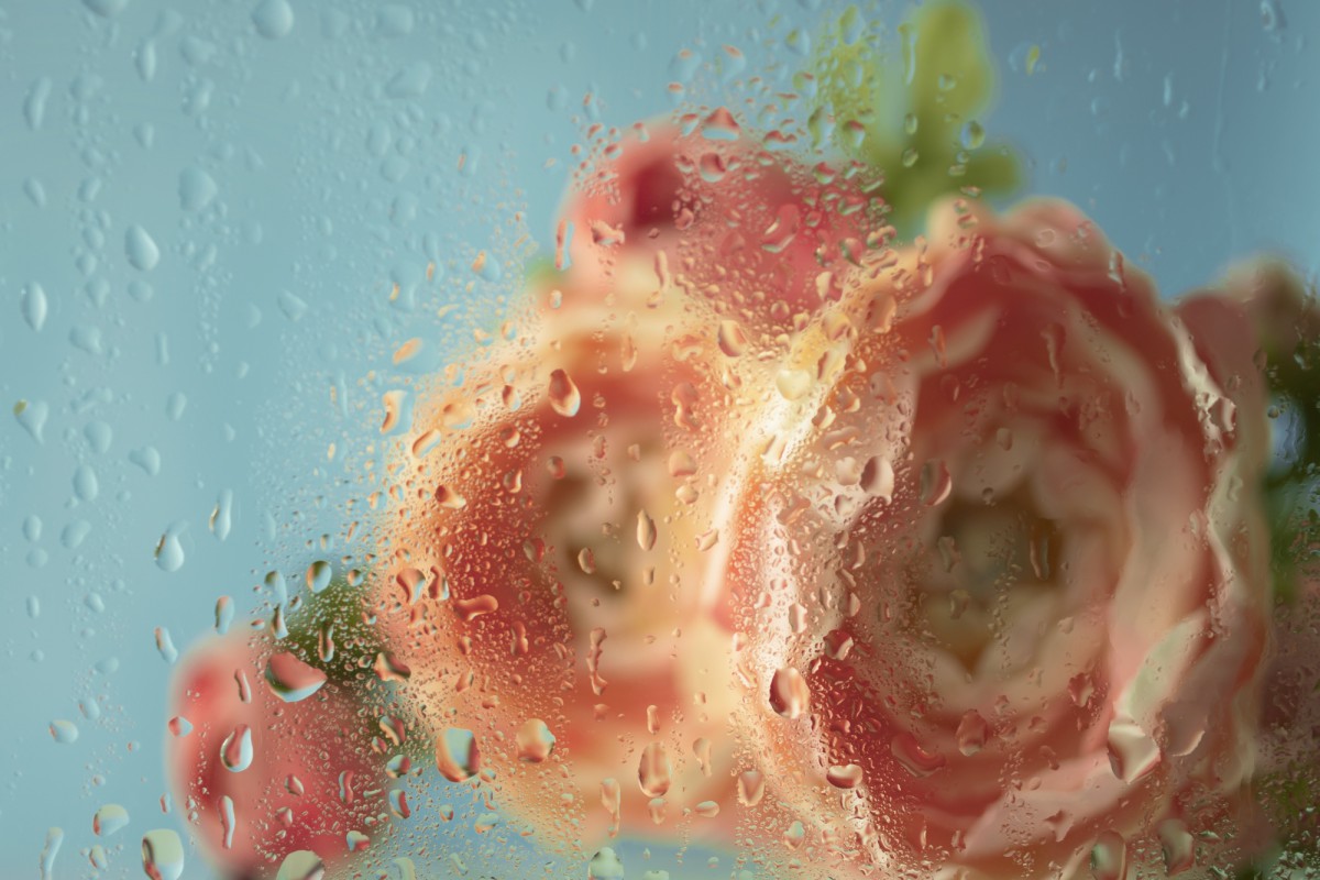 Как быстро и эффективно очистить фрукты от парафина и бактерий: простое решение