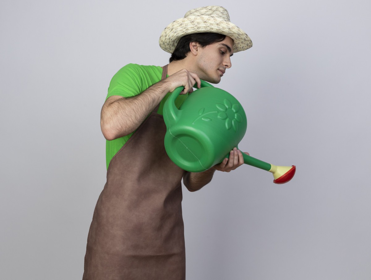 Как подкормить смородину после сбора урожая для обильного плодоношения