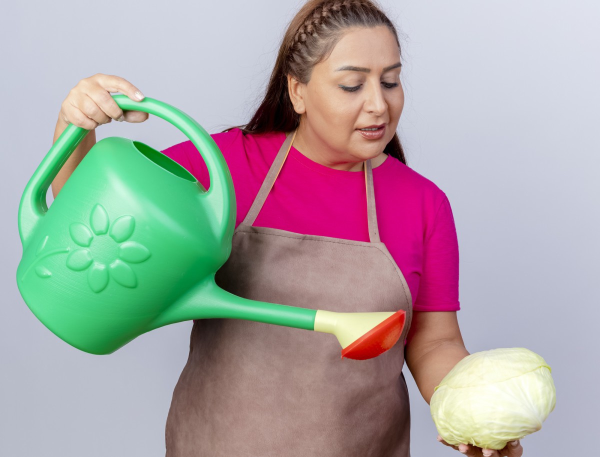 Как очистить окна без химии: простой и гениальный способ