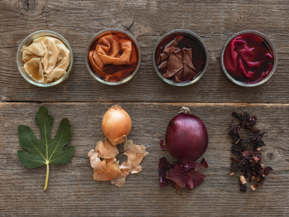 Как избавиться от клопов на малине: простые и эффективные методы