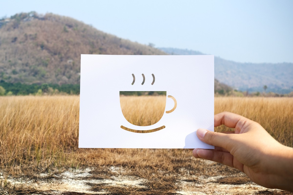 Какой кофе может навредить здоровью: разбираемся с врачом