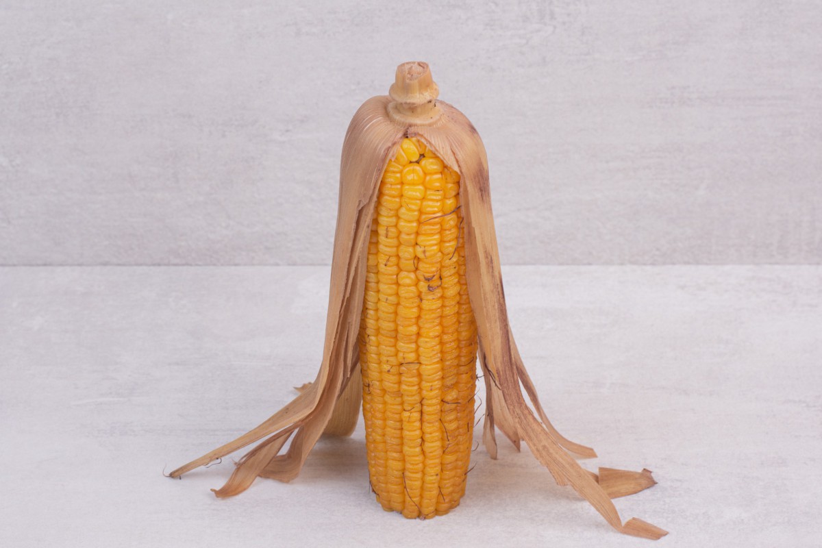 Кукурузная мука — неожиданное спасение от слизней!