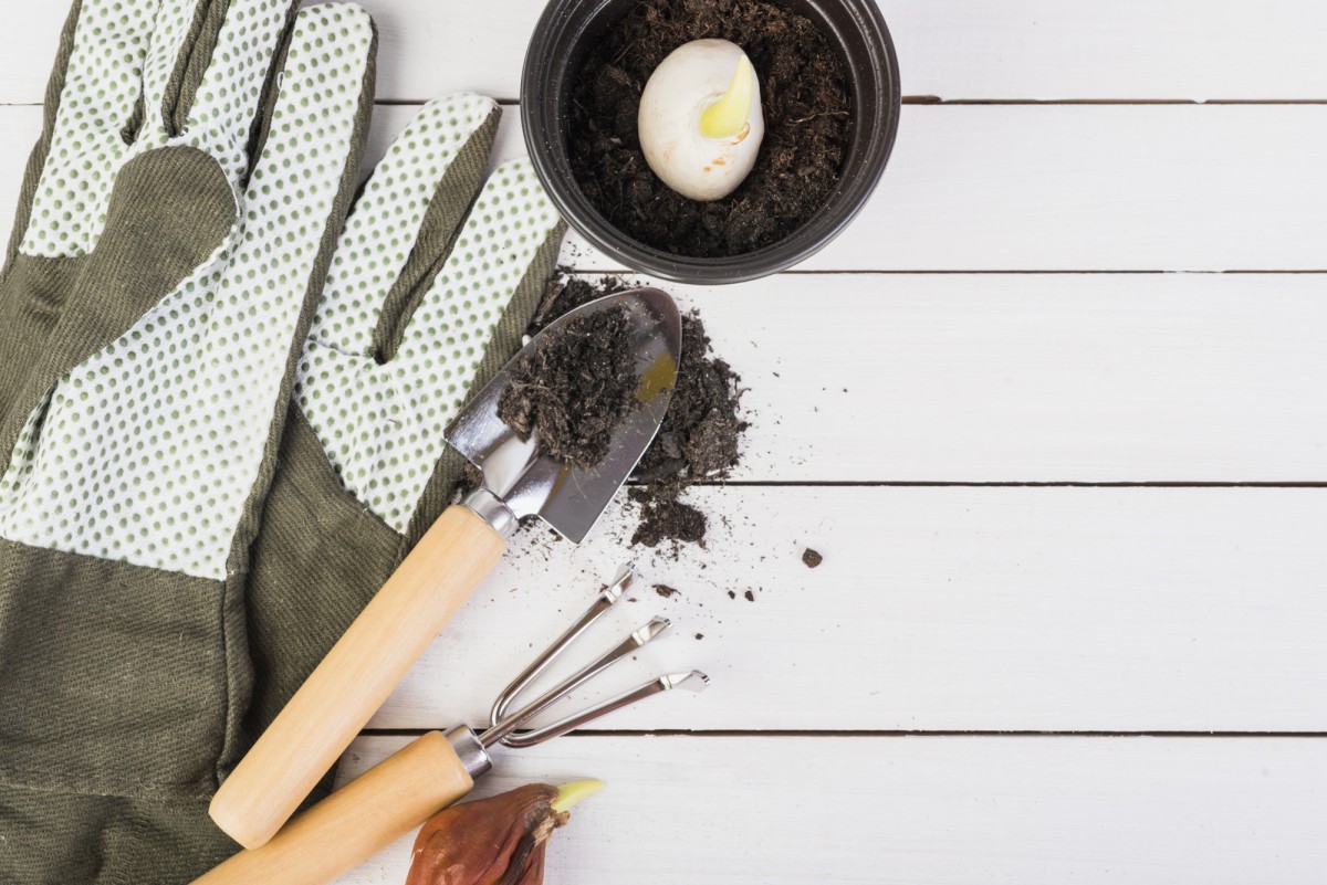 Деревянные лопатки: вторая жизнь на даче