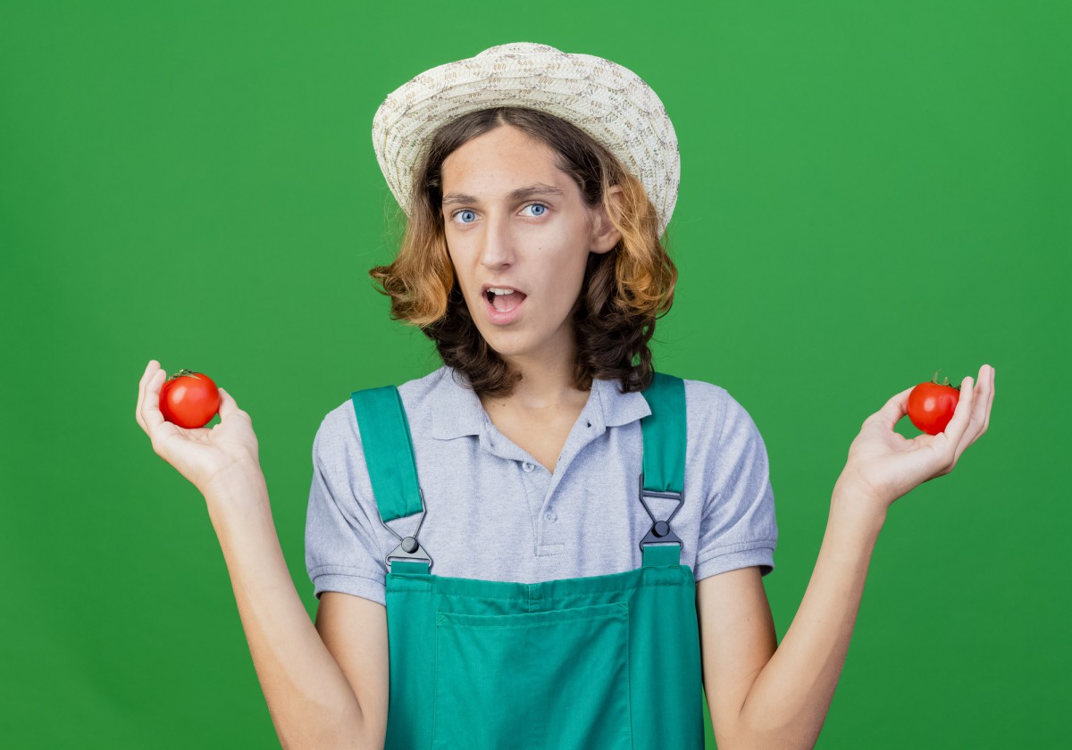 Разоблачение мифа: почему не стоит сеять томаты под зиму