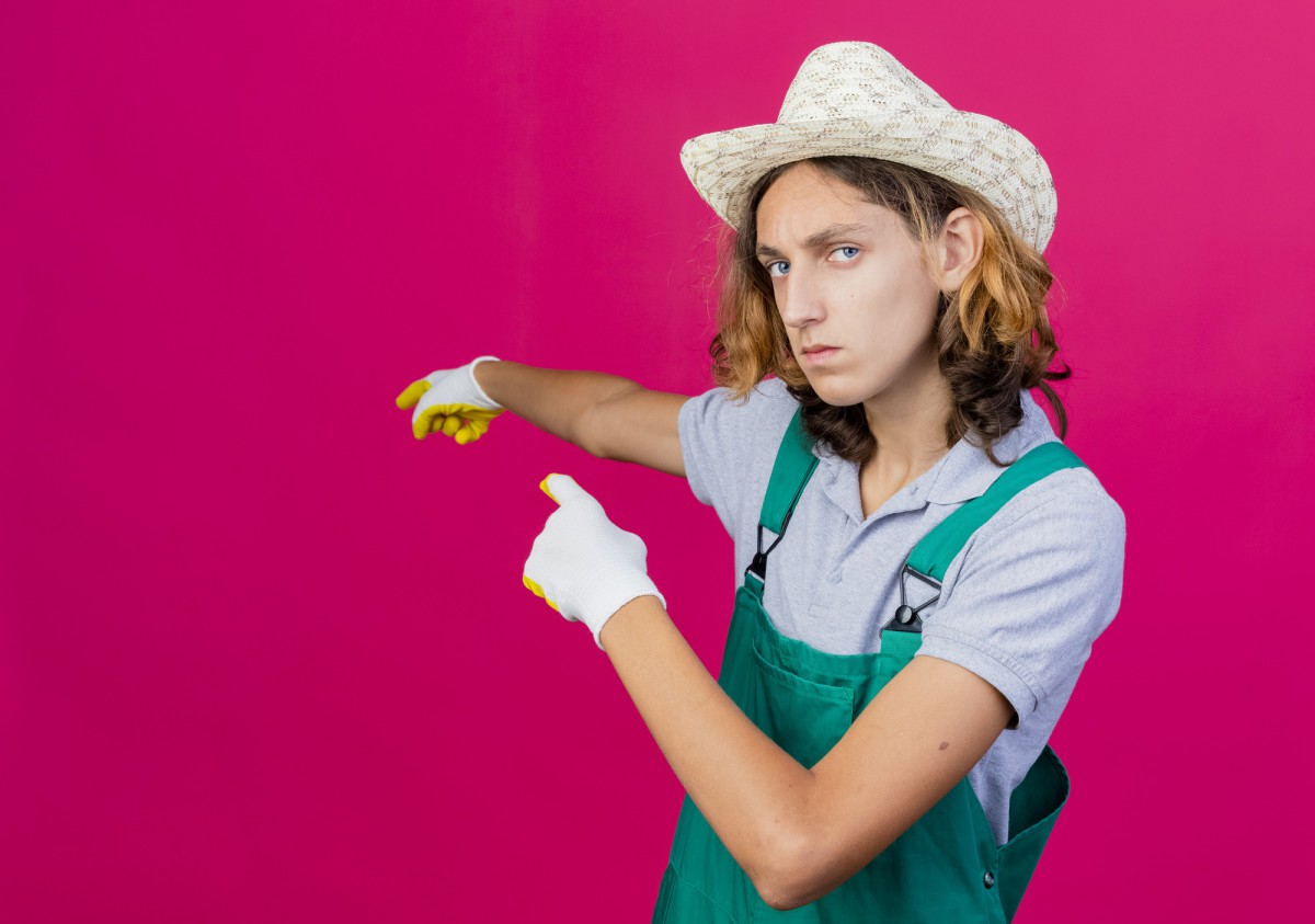 Как быстро очистить шторы от шерсти без снятия с карниза