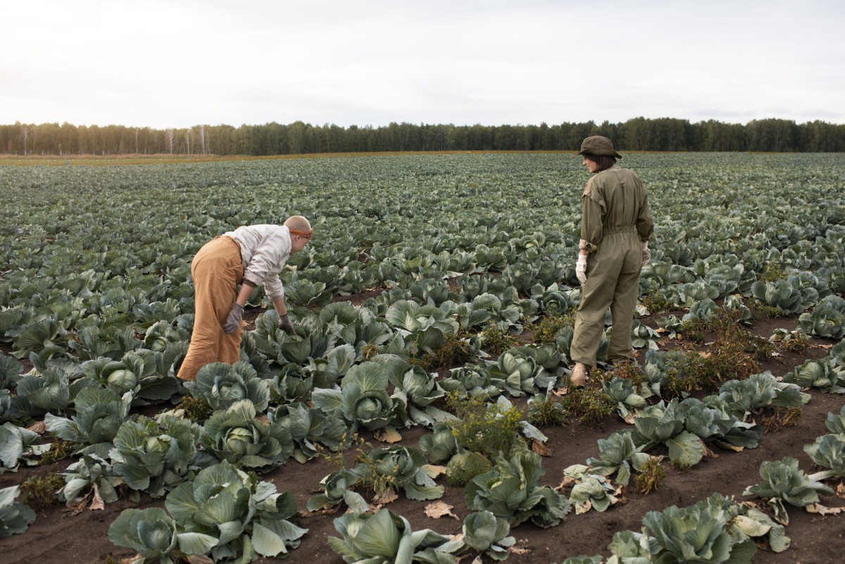 Как защитить грядки от весеннего затопления: 3 эффективных способа