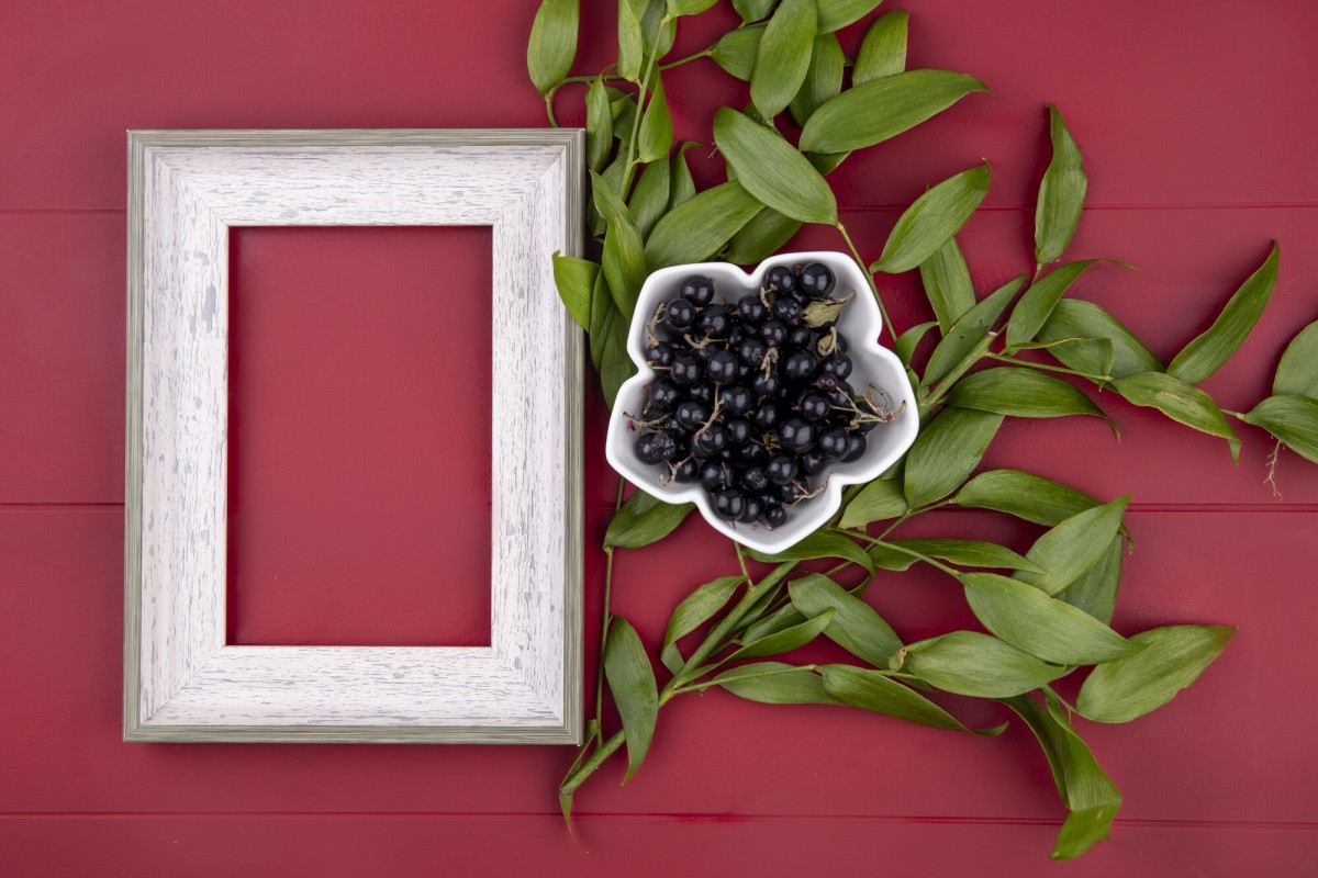 Секреты сбора и сушки листьев смородины для ароматного чая