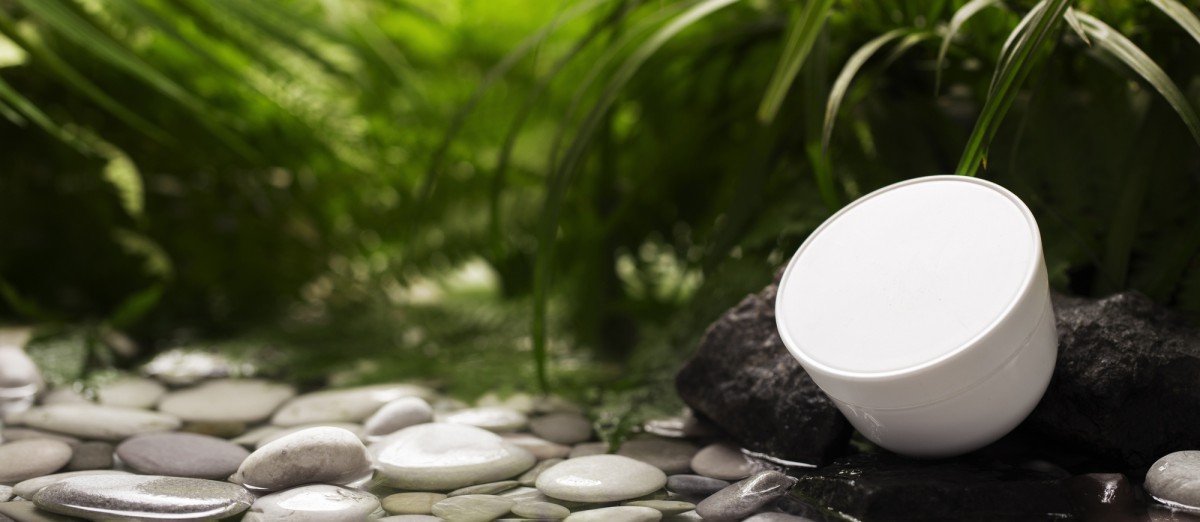 Секреты ухода за комнатными растениями зимой: увлажняем воздух без увлажнителя