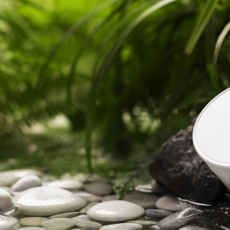 Секреты ухода за комнатными растениями зимой: увлажняем воздух без увлажнителя