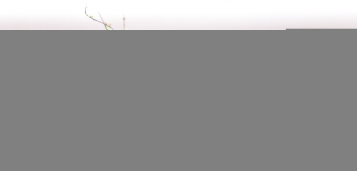 Как выбрать идеальные продукты к Пасхе: советы Роспотребнадзора