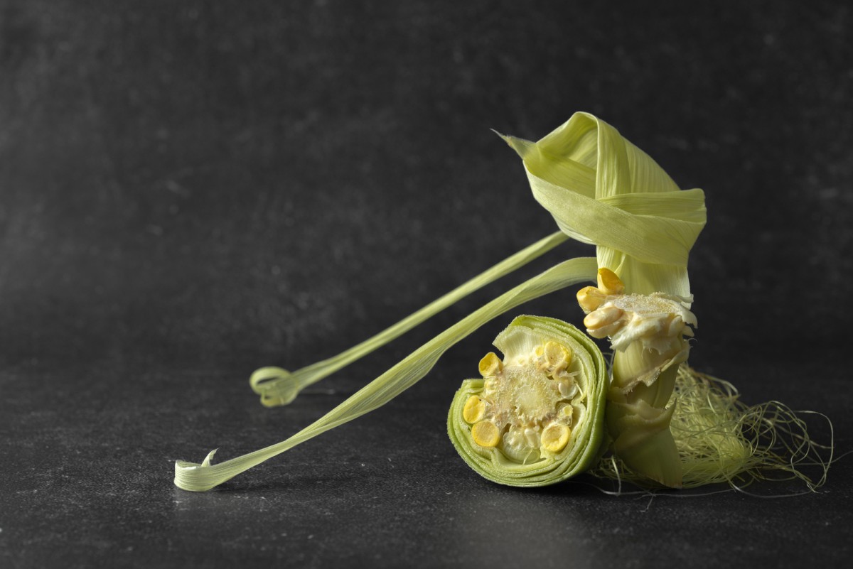 Секреты быстрого роста огурцов: всходы на второй день!