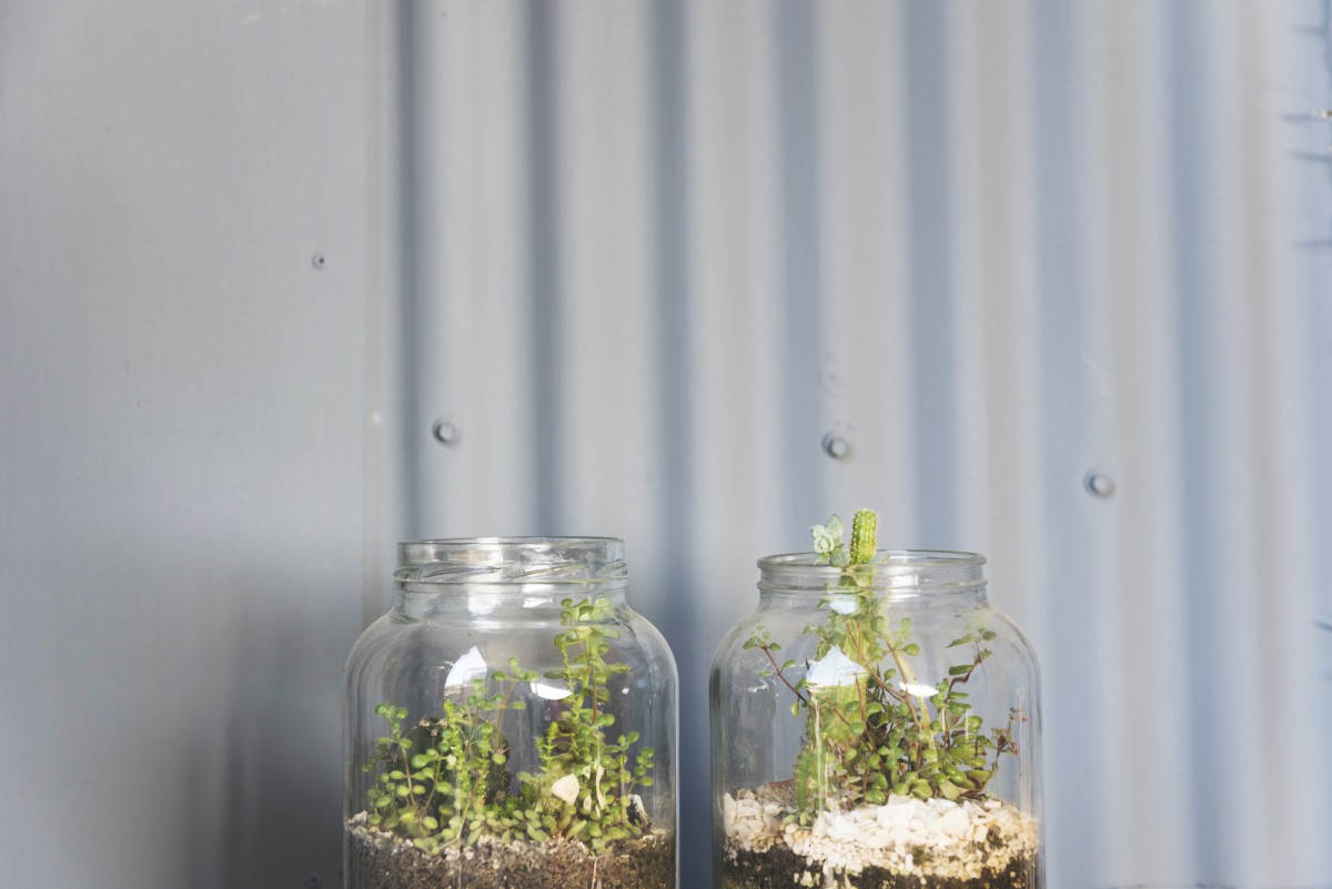 Как увлажнить воздух в квартире без увлажнителя