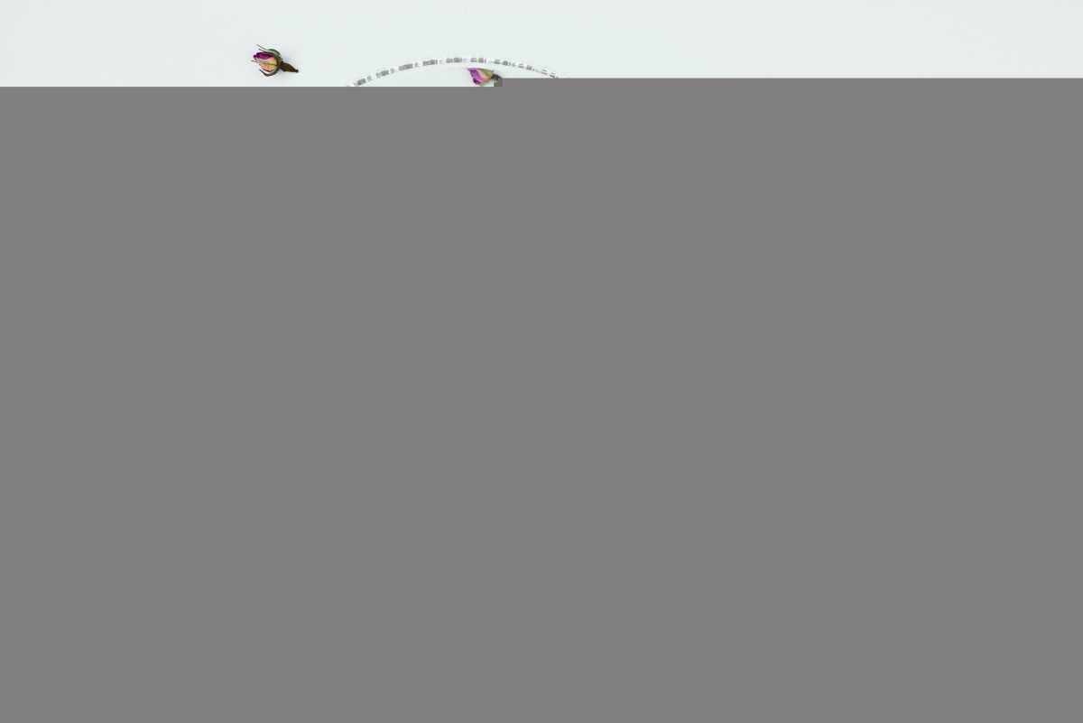 Весенняя диета для аллергиков: какие продукты могут стать врагами