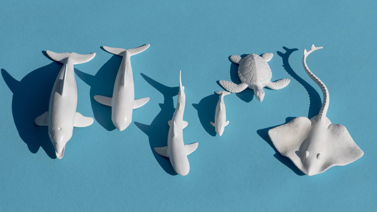 Почему не стоит выбивать ковры на снегу: современные способы чистки