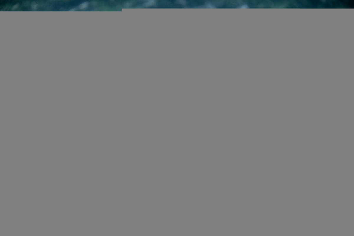 Салат из тушёных огурцов: летний хит на вашем столе