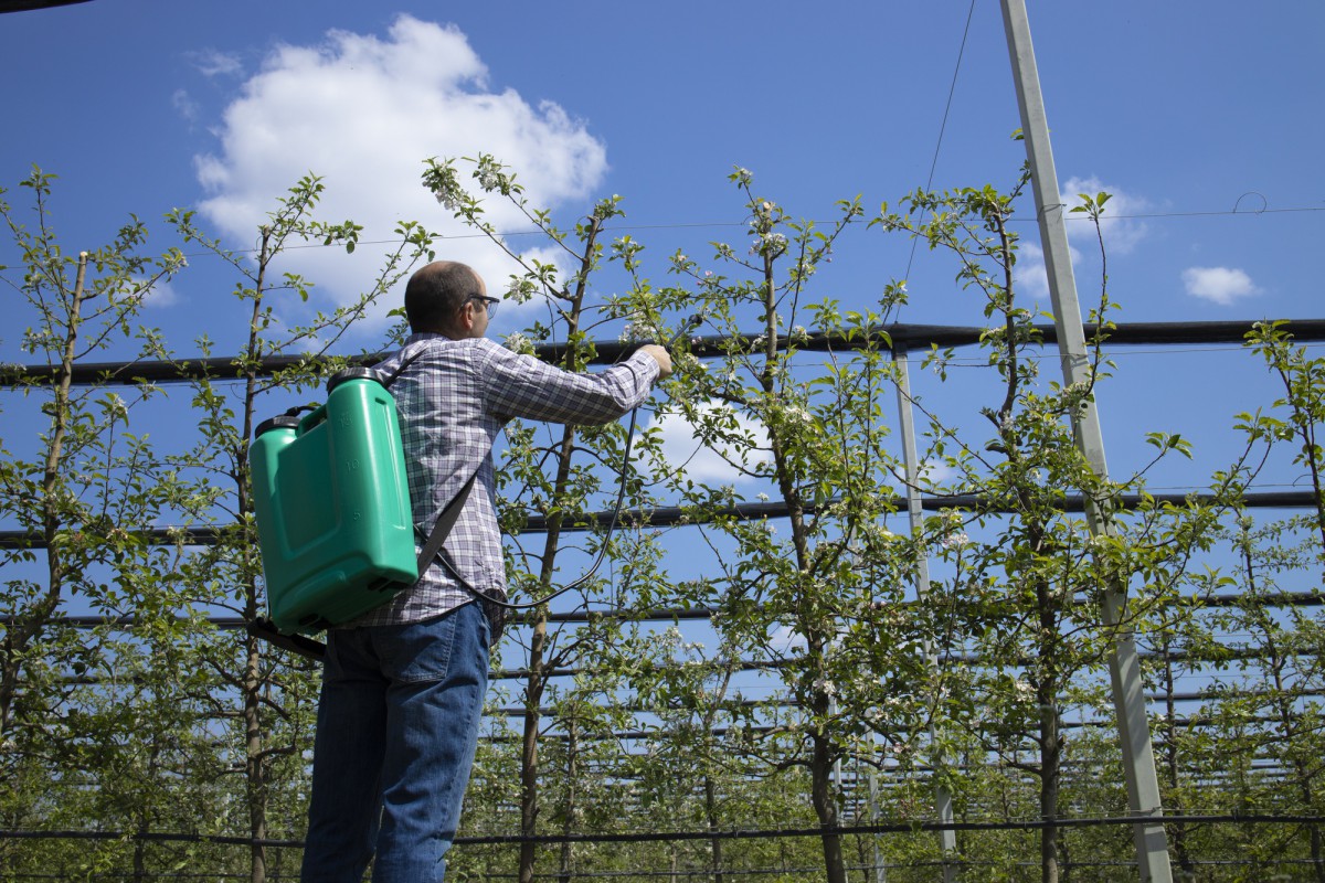 Как быстро и эффективно избавиться от пауков на даче: проверенные методы