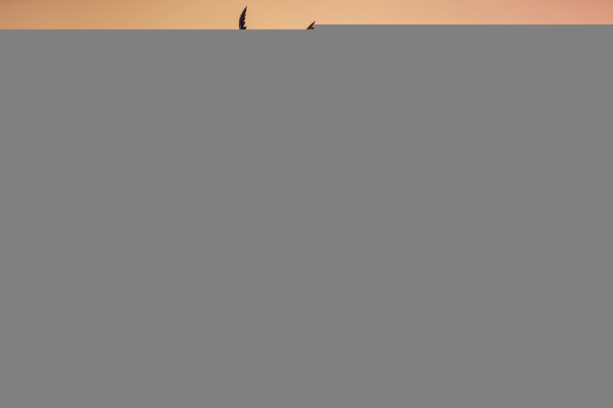 Как найти свой идеальный аромат: советы для каждой леди