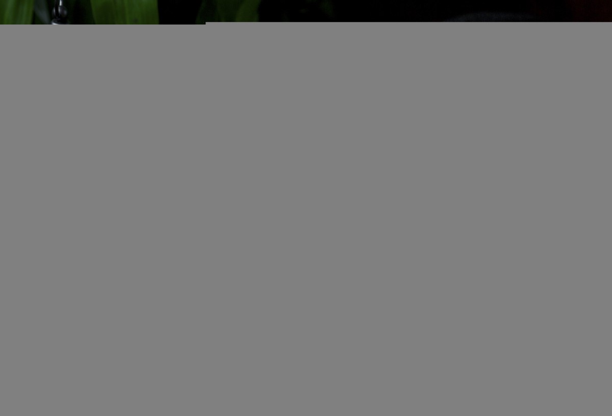 Плов без казана: готовим в сковороде