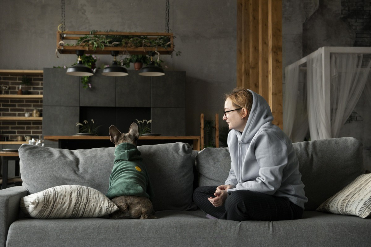 Как создать для кошки идеальный дом: секреты уюта без стресса