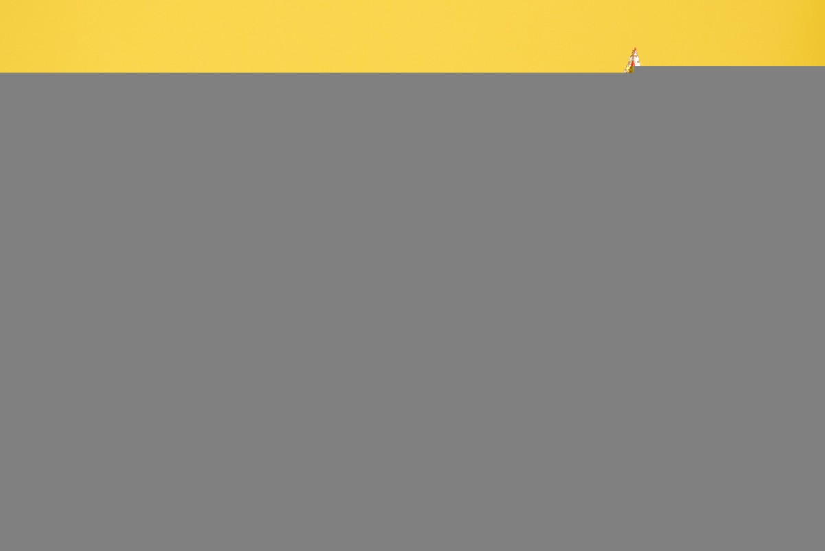 Как купить ёлку на Новый год и не нарваться на штраф: советы адвоката