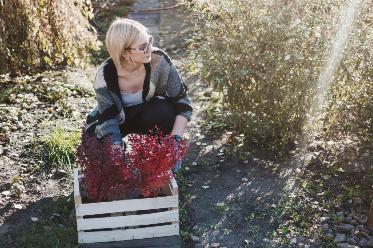 Как старый ковёр может увеличить ваш урожай в 4 раза