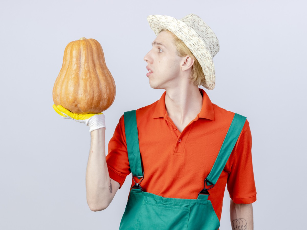 Как понять, что пора убирать лук: 3 ключевых признака