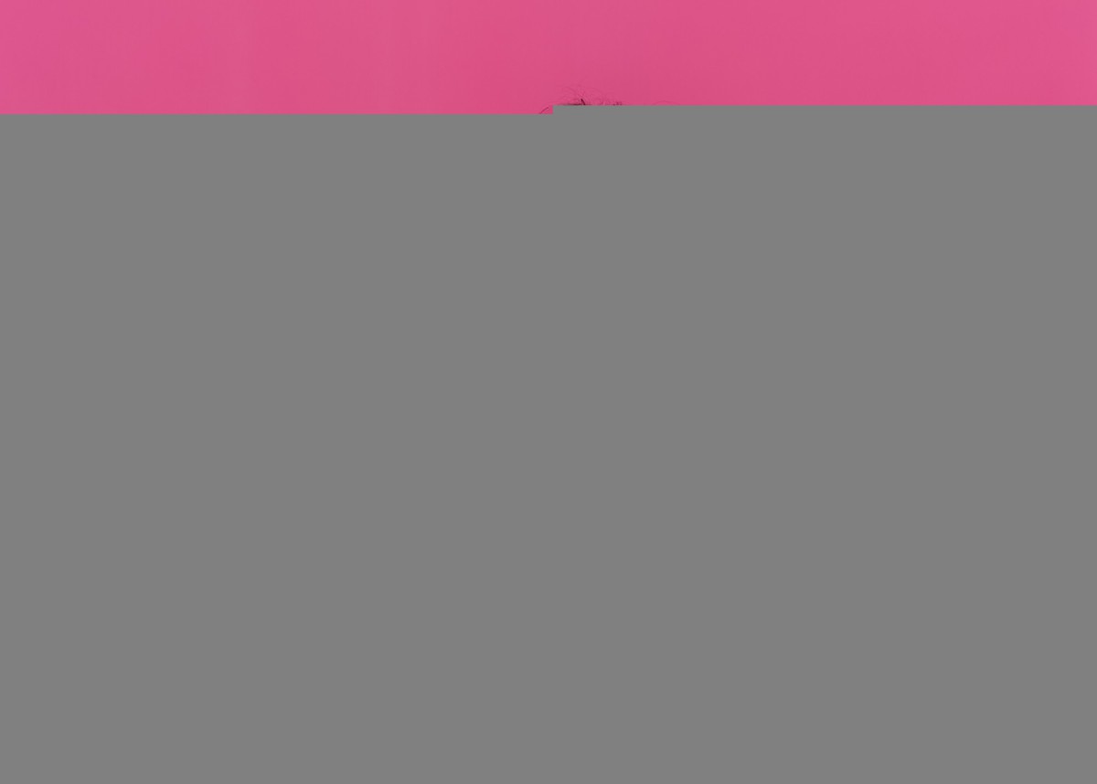 Как легко открыть тугую крышку пластиковой бутылки без инструментов