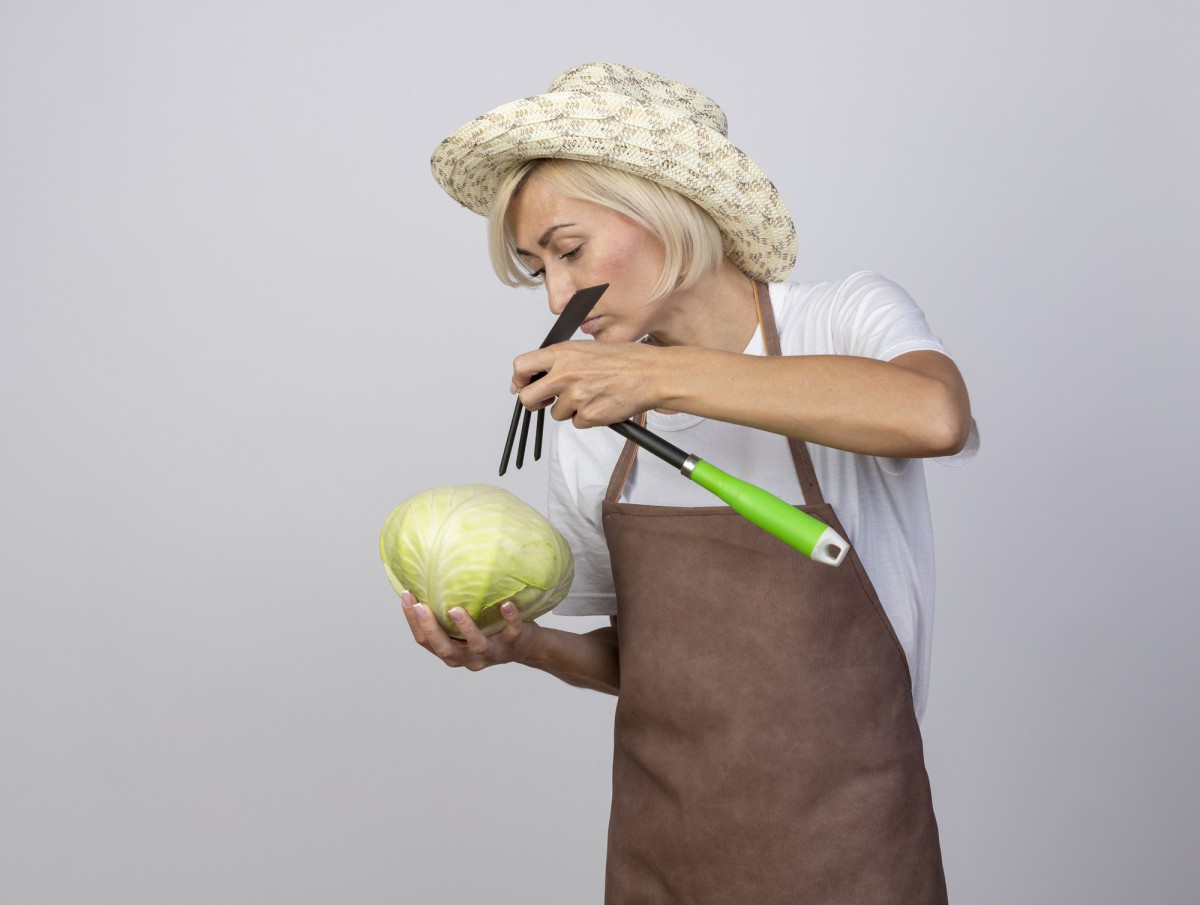 Секреты домашнего сидра и вина: советы от шеф-повара