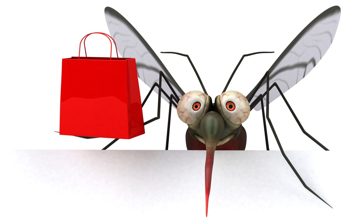 Как быстро избавиться от мошек в квартире: простая и эффективная ловушка