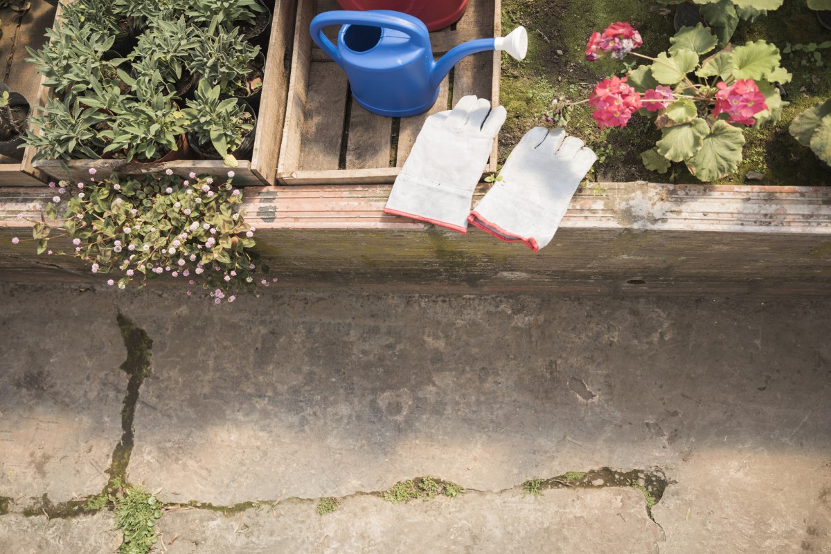 Как использовать старую ванну с пользой для сада и огорода