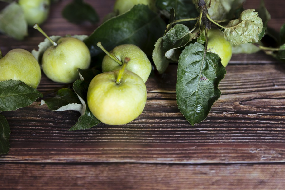 Август — время для суперподкормки яблонь: урожай вас удивит!