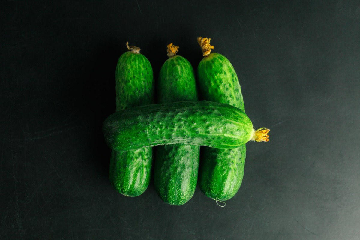 Самые неудачные сорта огурцов: не берите их даже по акции