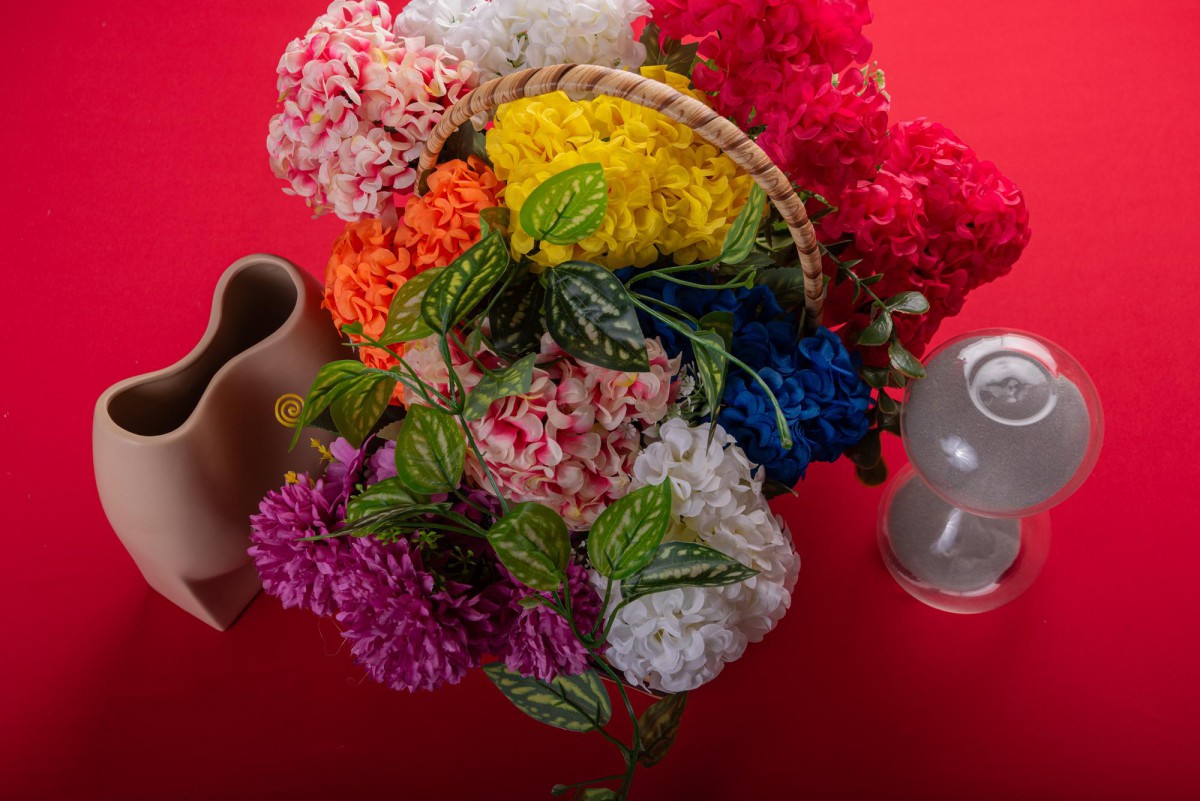 Секреты пышного цветения пионов: раскрываем все карты!