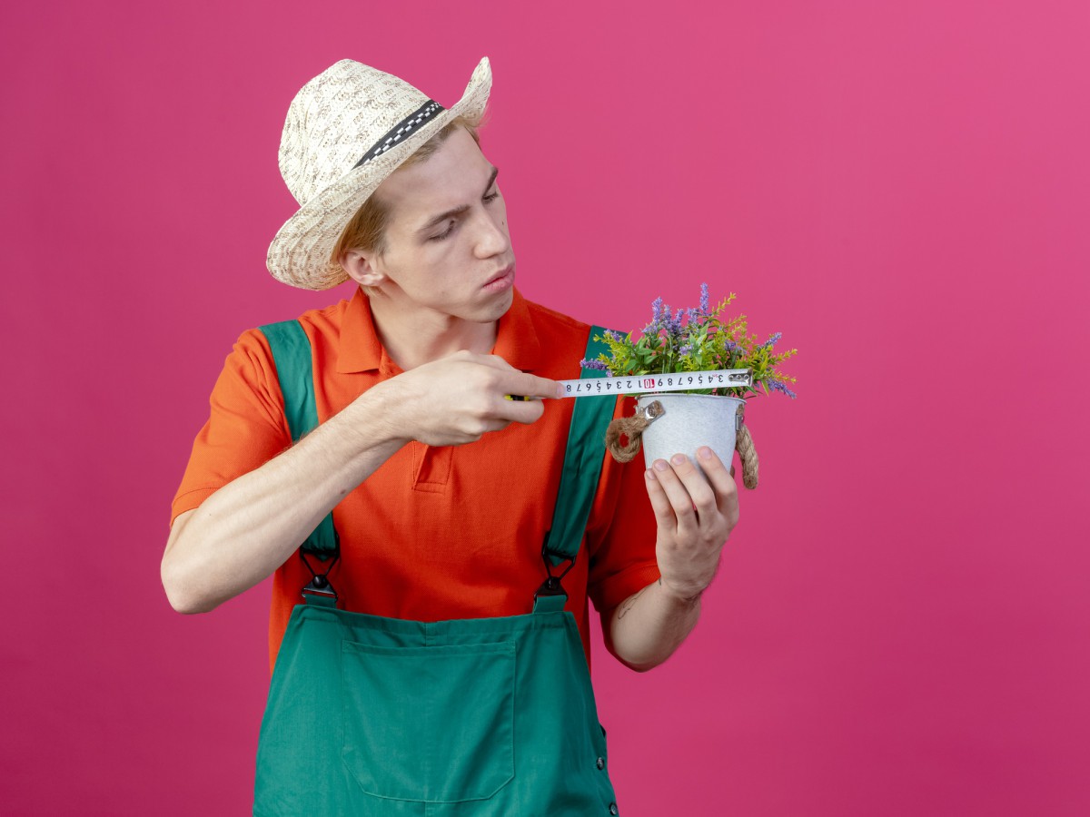 Секреты успешной посадки бархатцев: избегайте этих ошибок!