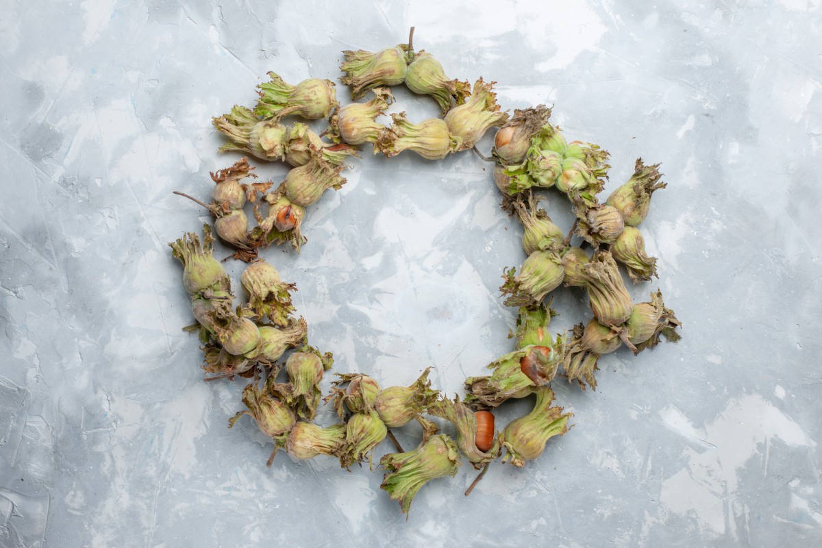 Как защитить деревья от грызунов: необычный метод, который работает!