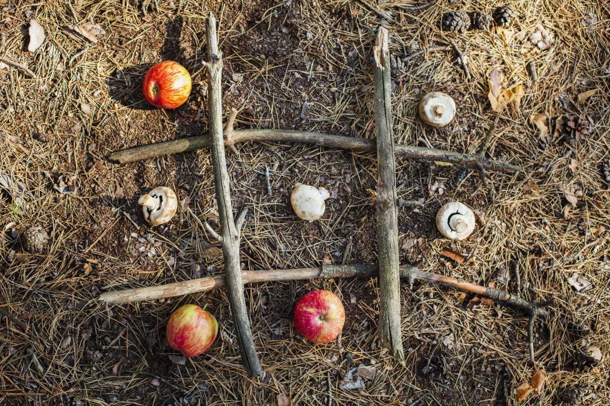 Не спешите с защитой сада от грызунов: советы агронома