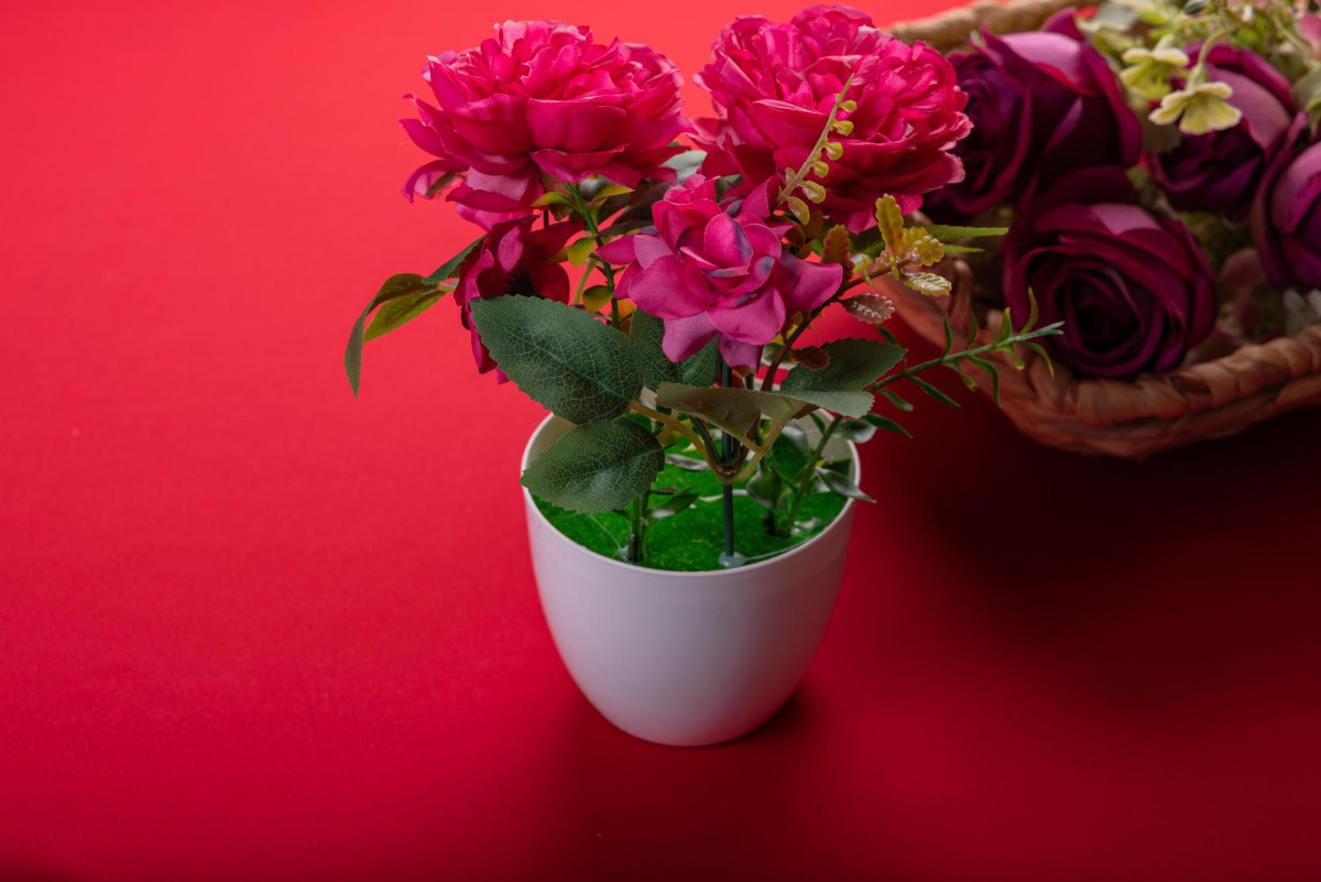 Цветы для кашпо: создайте сад мечты без хлопот